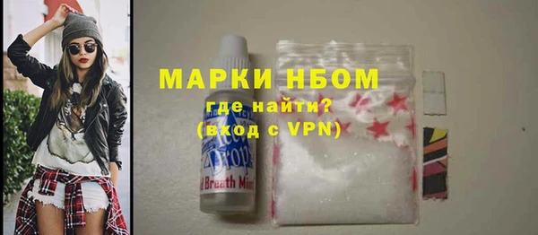 индика Бронницы