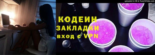 индика Бронницы